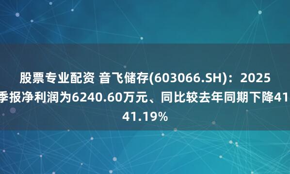 股票专业配资 音飞储存(603066.SH)：2025年三季报净利润为6240.60万元、同比较去年同期下降41.19%