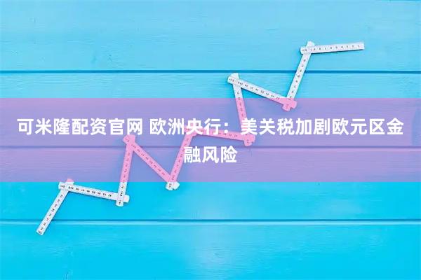 可米隆配资官网 欧洲央行：美关税加剧欧元区金融风险