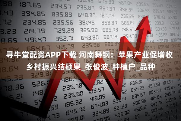 寻牛堂配资APP下载 河南舞钢：苹果产业促增收 乡村振兴结硕果_张俊波_种植户_品种